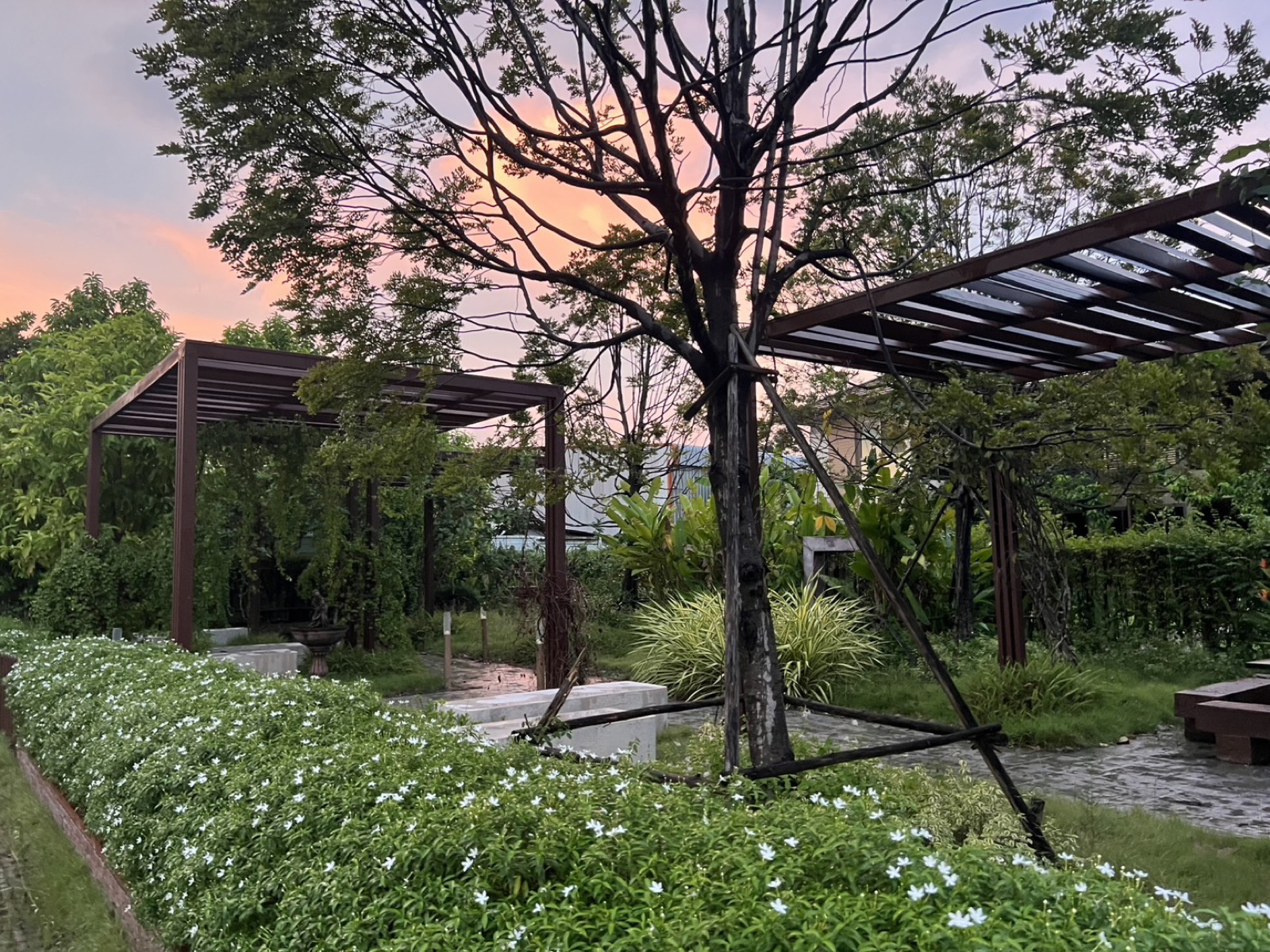 สวน Urban Oasis ของศูนย์ยามเย็น มีซุ้มไม้เลื้อยและต้นไม้ใหญ่